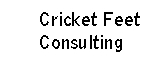 Cricket Feet Consulting